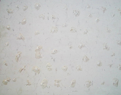 Pietra puntellata larga