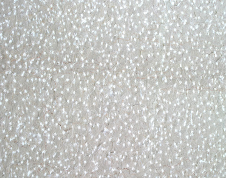Pietra puntellata